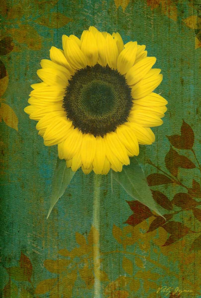 Wall art: Sunflower, by Geyman, Vitaly