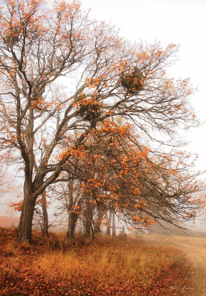 Wall Art Painting id:555, Name: Autumn Lane, Artist: Geyman, Vitaly