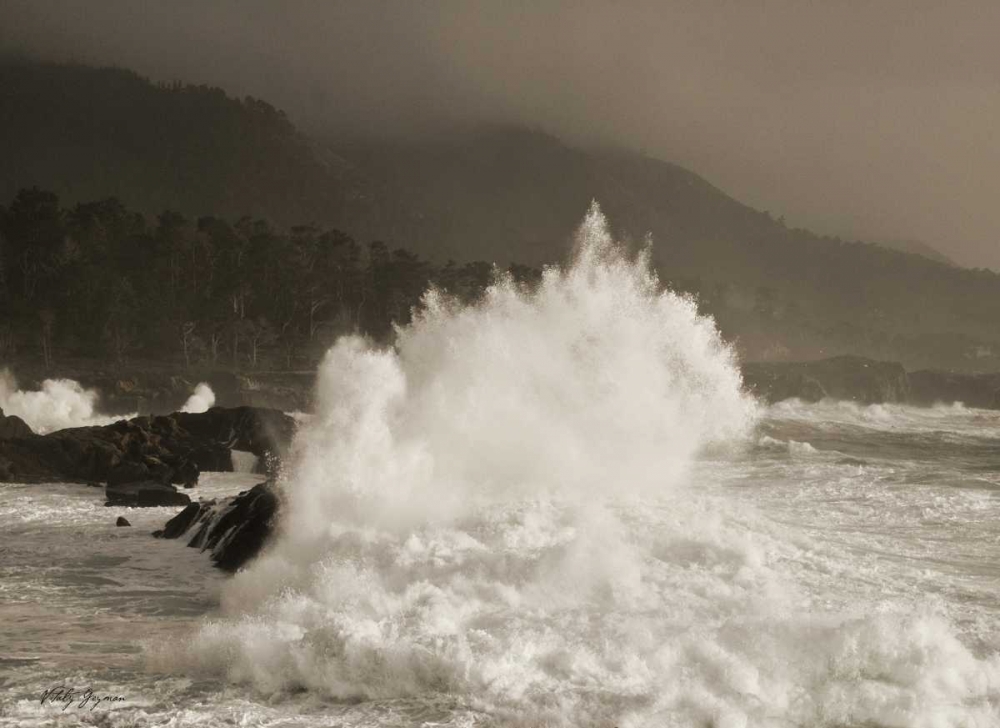 Wall Art Painting id:556, Name: Waves of Passion, Artist: Geyman, Vitaly