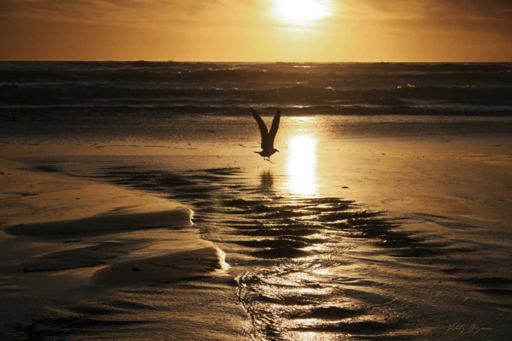 Art Print: Sunset Bird