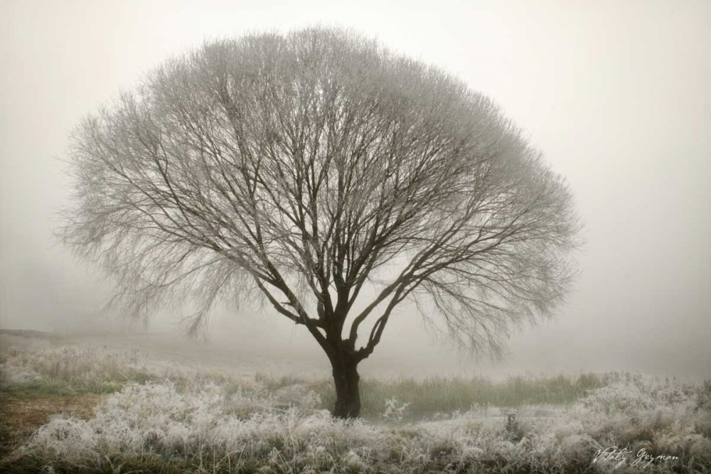 Art Print: Tranquility II