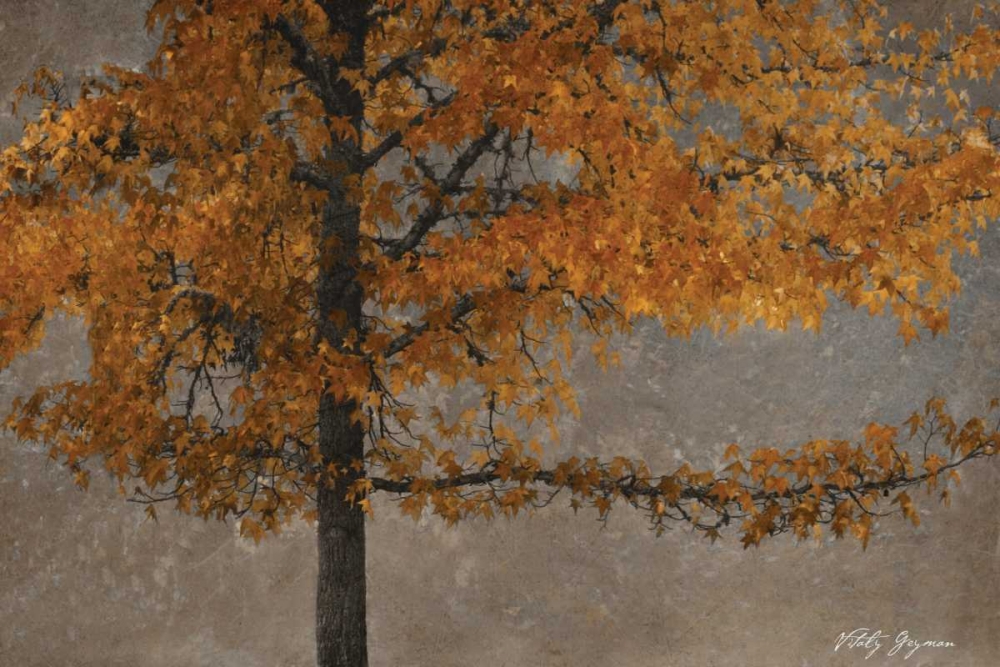 Art Print: Tree Angel I