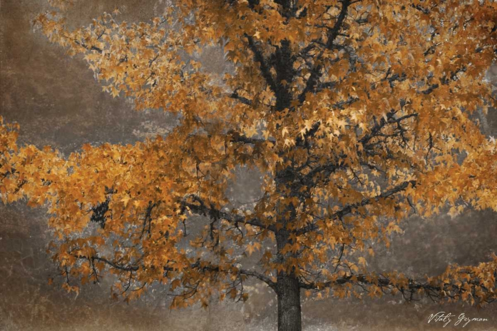 Art Print: Tree Angel II