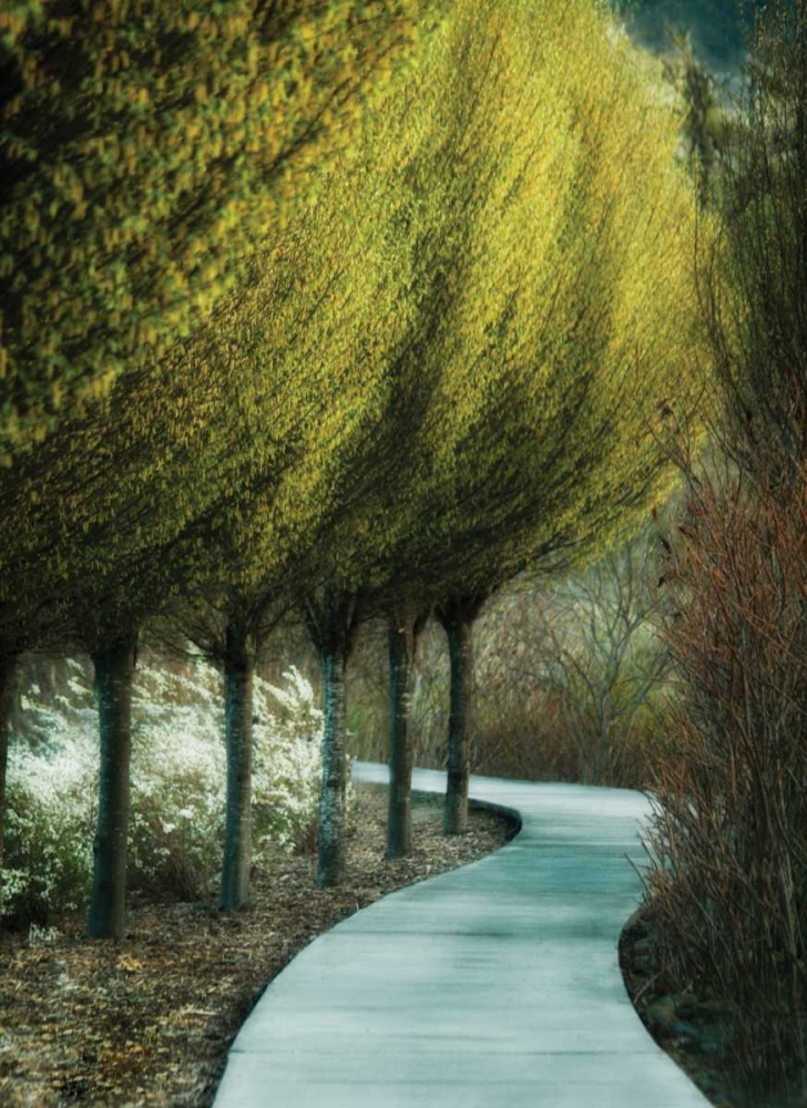 Wall Art Painting id:586, Name: Evening Glow I, Artist: Geyman, Vitaly