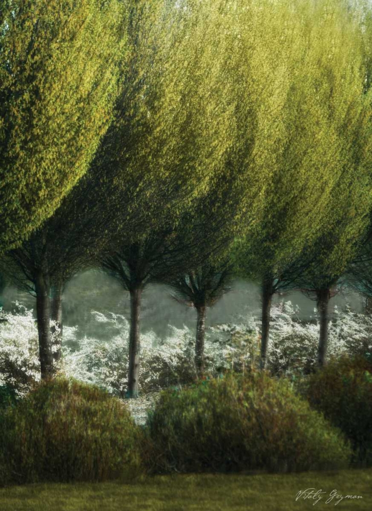 Art Print: Evening Glow II