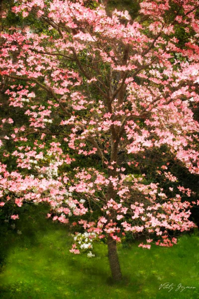 Similar wall art painting: 593