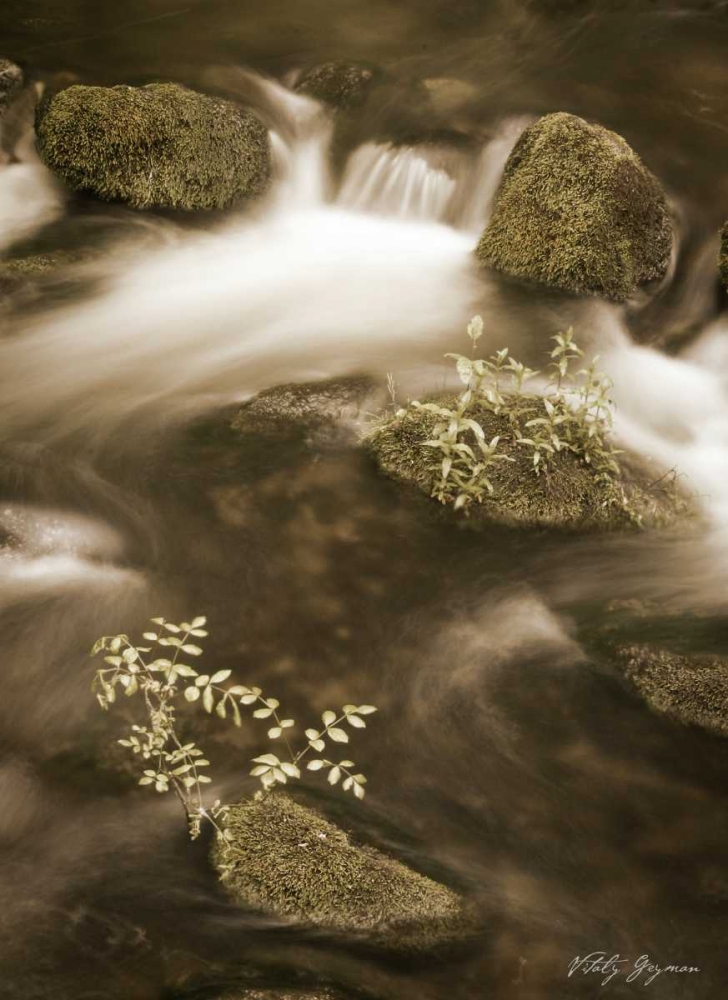 Art Print: Sepia Waters II