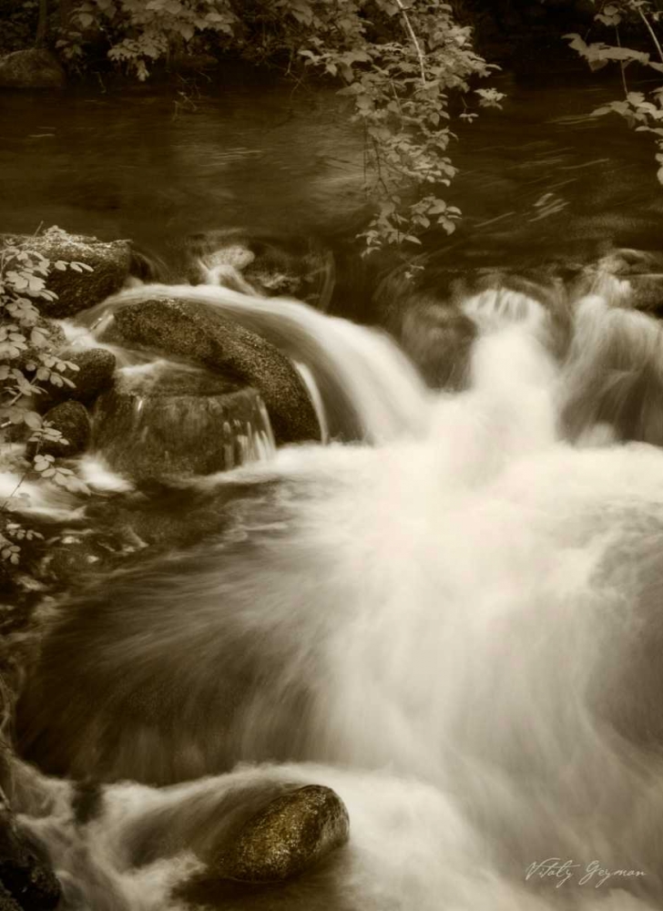 Art Print: Sepia Waters III