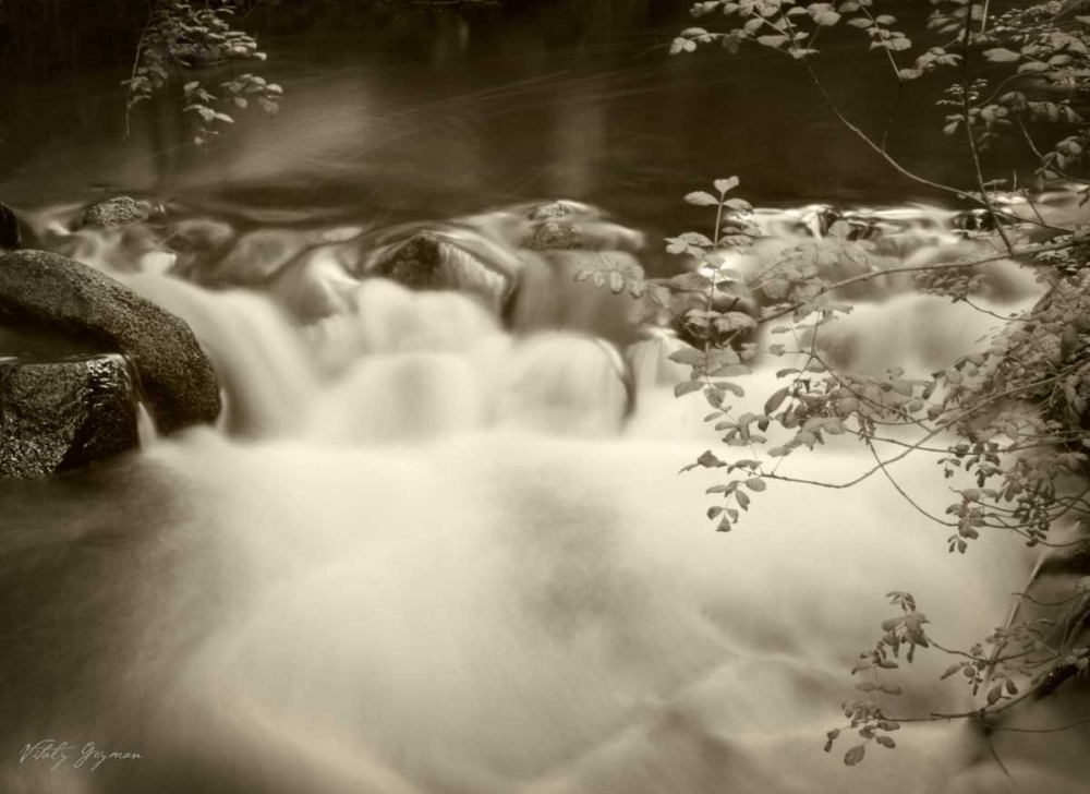 Art Print: Sepia Waters IV