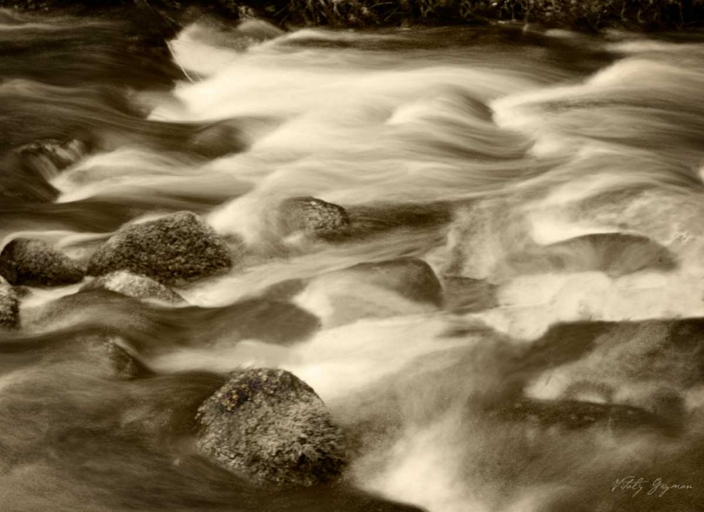 Wall art: Sepia Waters V, by Geyman, Vitaly