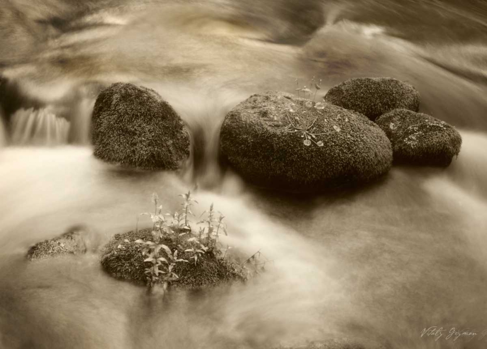Art Print: Sepia Waters VI