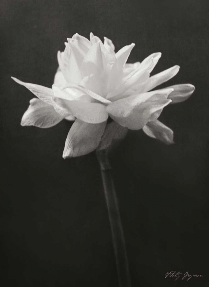 Wall Art Painting id:738, Name: Nostalgia, Artist: Geyman, Vitaly