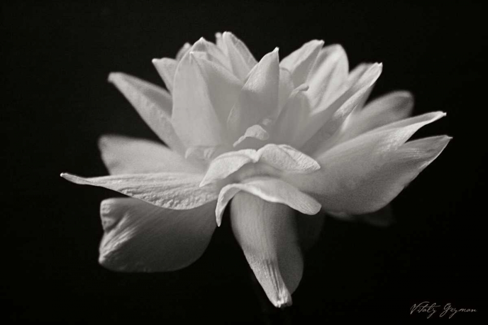 Wall Art Painting id:742, Name: Out of the Dark, Artist: Geyman, Vitaly