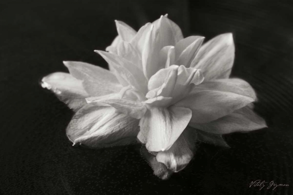 Wall Art Painting id:743, Name: Water Star, Artist: Geyman, Vitaly