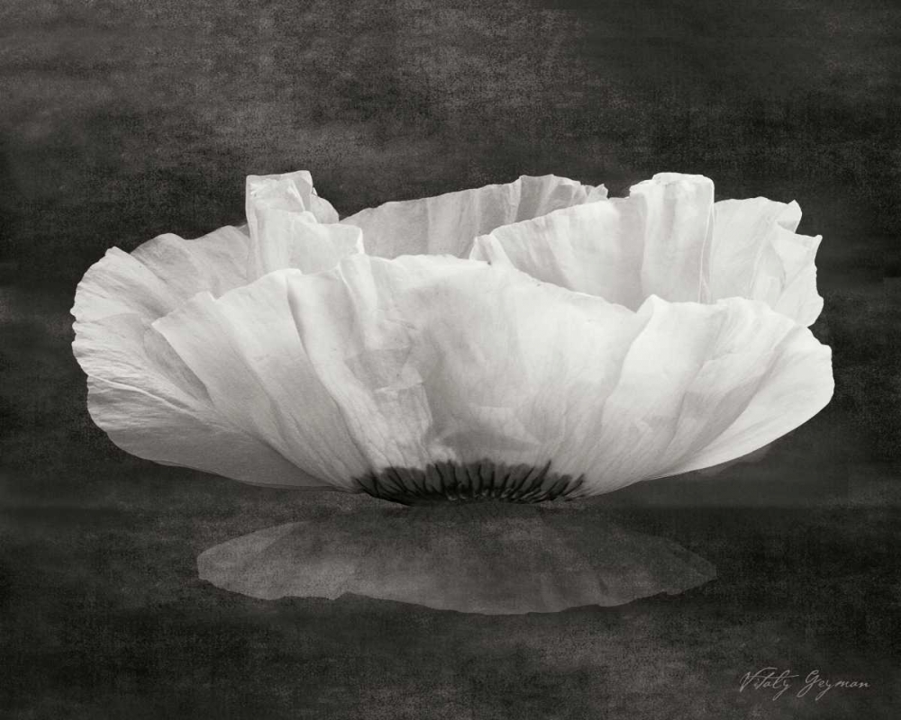 Wall Art Painting id:744, Name: Poppy Mirage, Artist: Geyman, Vitaly