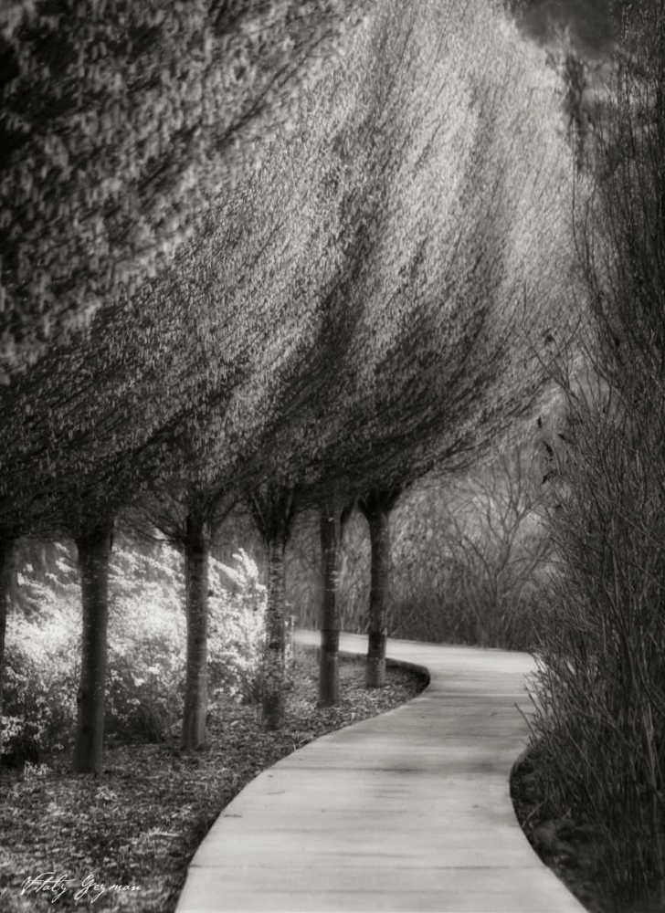 Art Print: Evening Glow I BandW