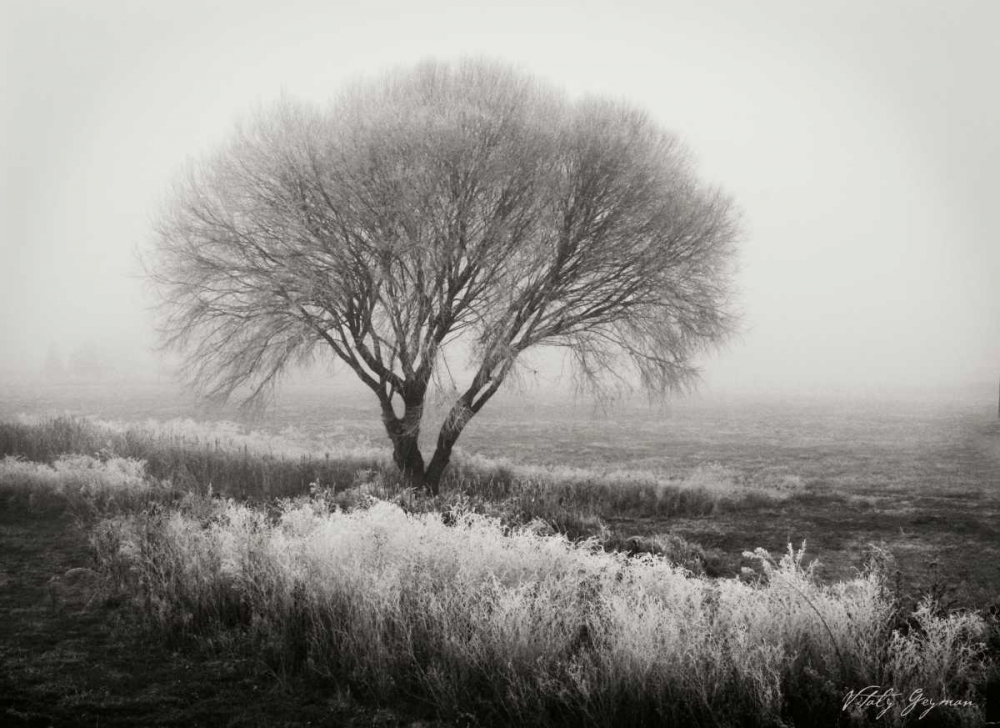 Wall art: Tranquility I BandW, by Geyman, Vitaly