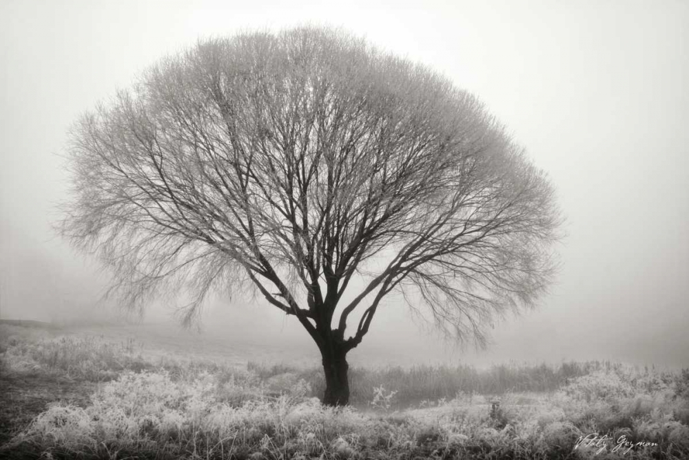 Wall art: Tranquility II BandW, by Geyman, Vitaly