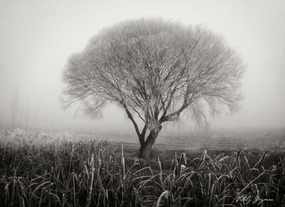 Wall art: Tranquility III BandW, by Geyman, Vitaly