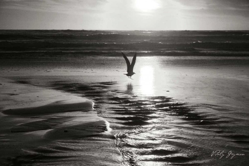 Art Print: Sunset Bird BandW