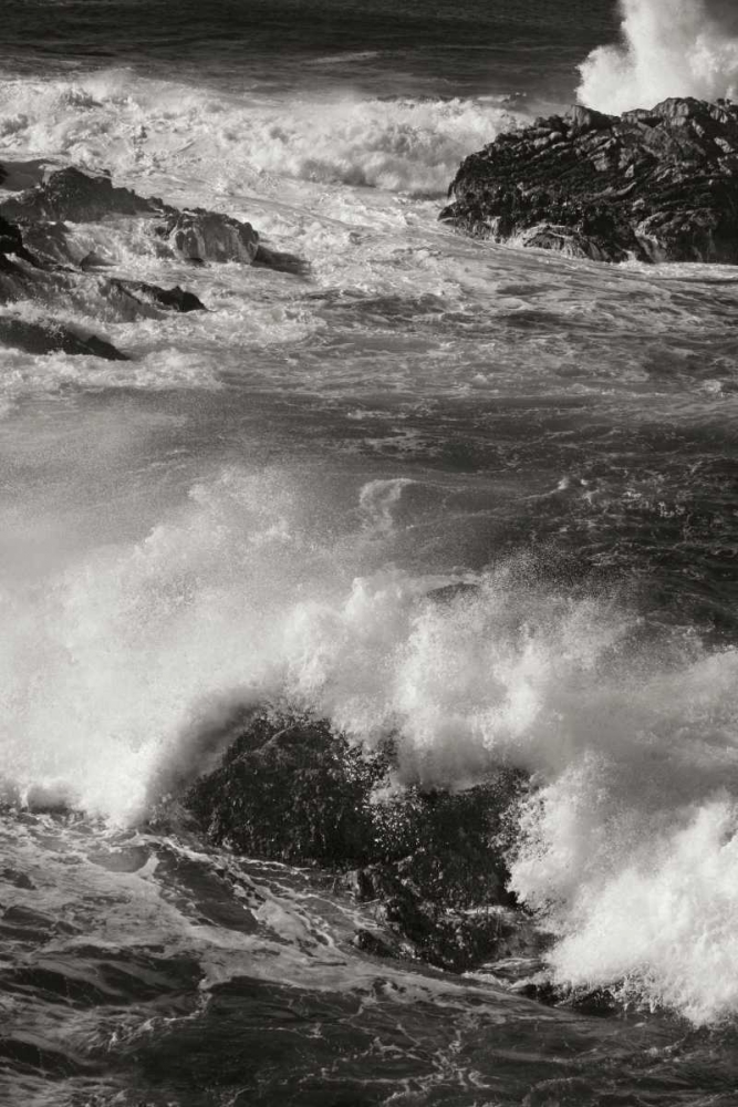 Art Print: Ocean Fury III