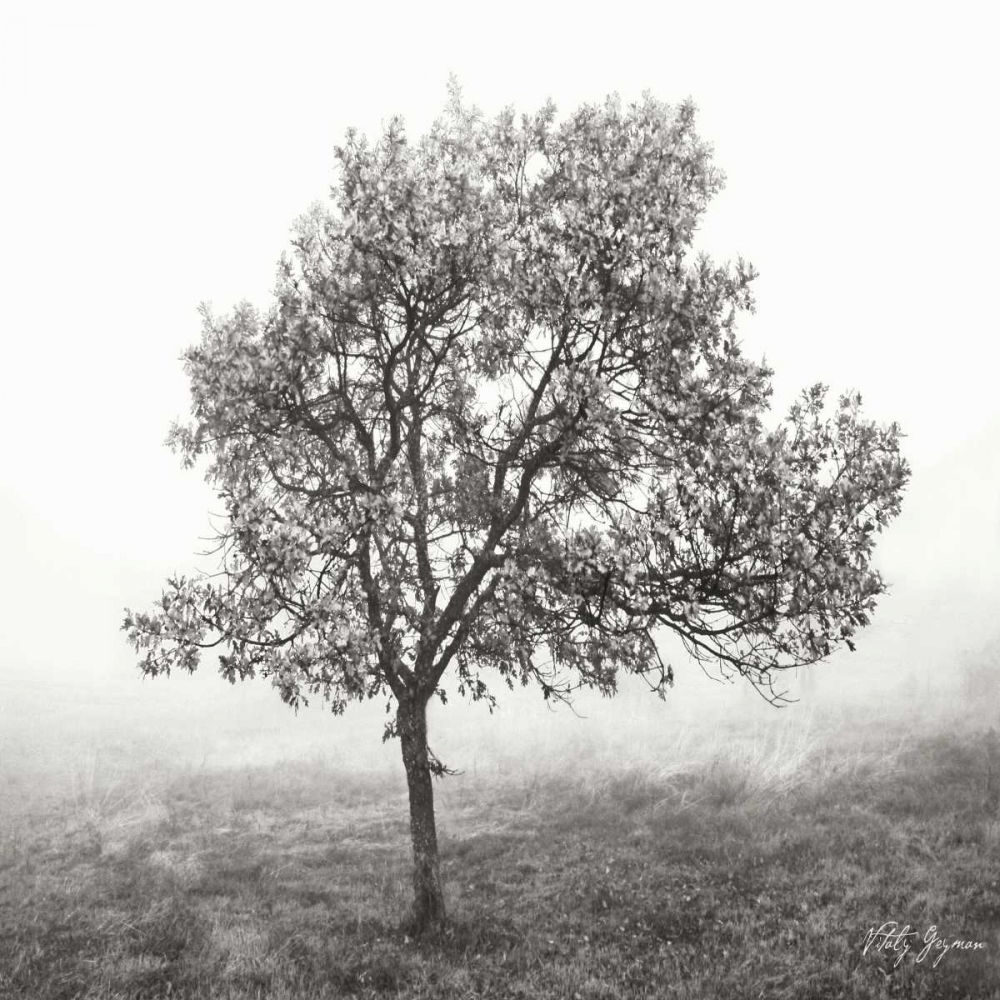 Wall Art Painting id:9911, Name: Burning Oak BW VI, Artist: Vitaly, Geyman