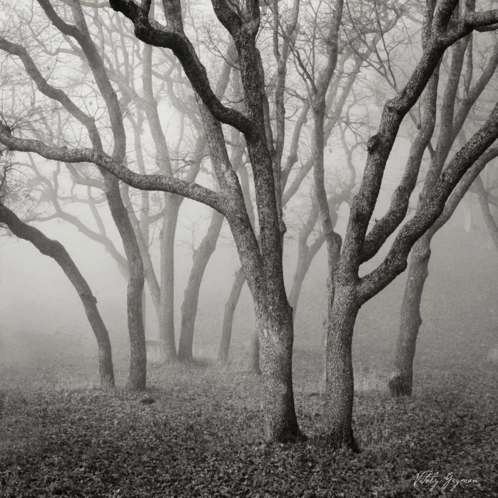 Wall Art Painting id:9914, Name: Misty Dance Sq, Artist: Vitaly, Geyman