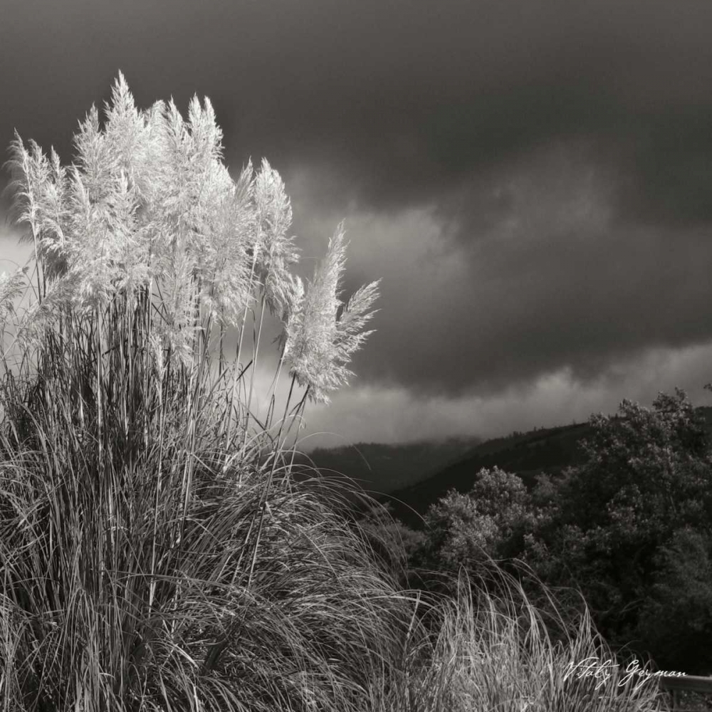 Wall Art Painting id:9915, Name: White Towers III BW, Artist: Vitaly, Geyman