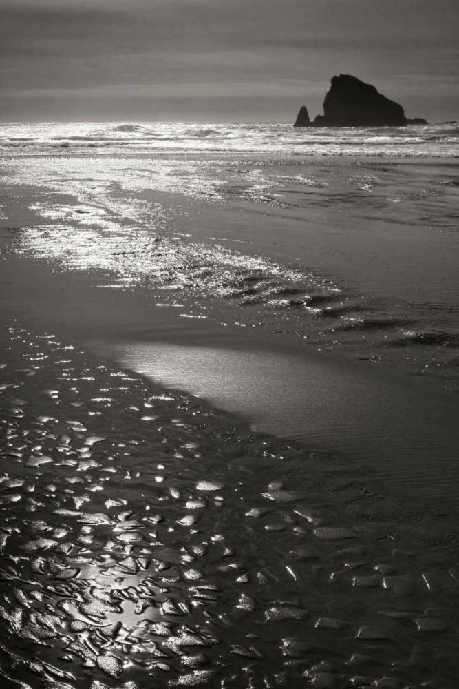 Art Print: Seashore Serenity I BW