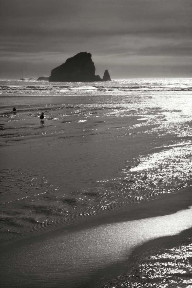 Art Print: Seashore Serenity II BW
