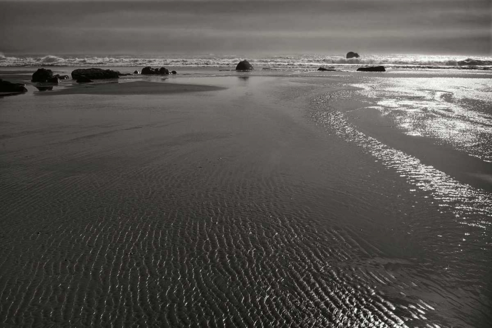 Art Print: Seashore Serenity III BW