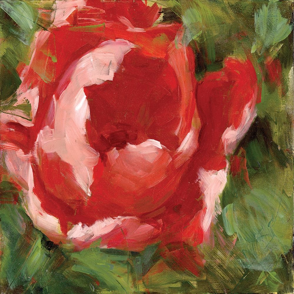 Wall Art Painting id:219645, Name: Tulip, Artist: Salness, Annie