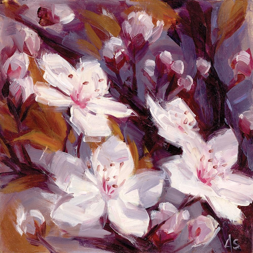 Wall art: Cherry Blossoms, by Salness, Annie