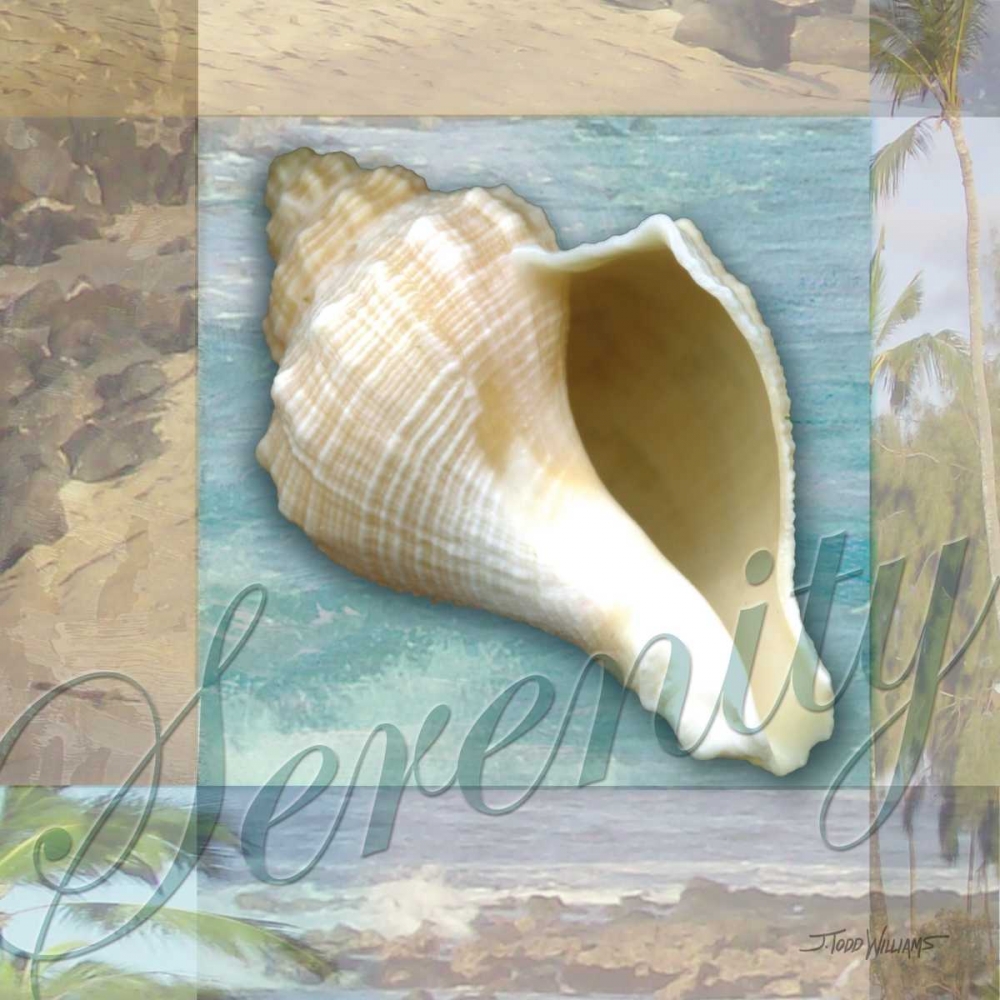 Art Print: Serenity Shell