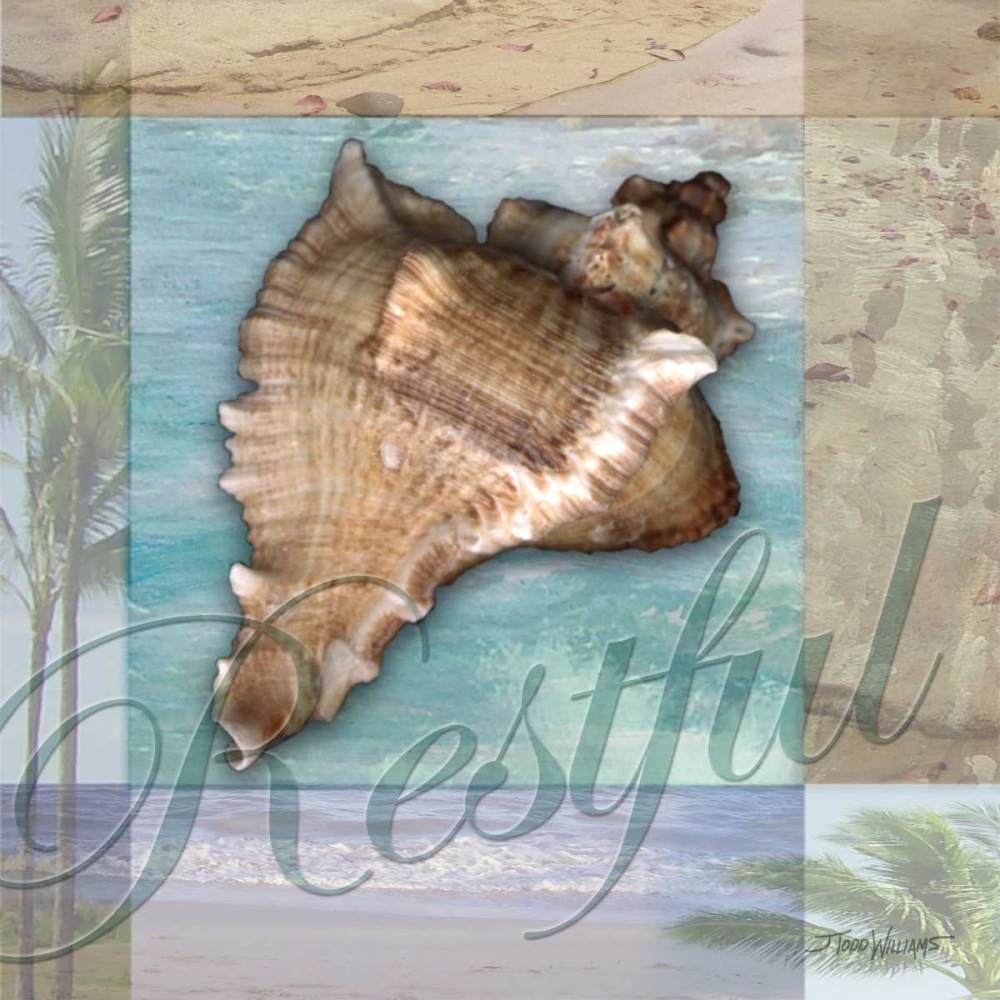 Art Print: Restful Shell