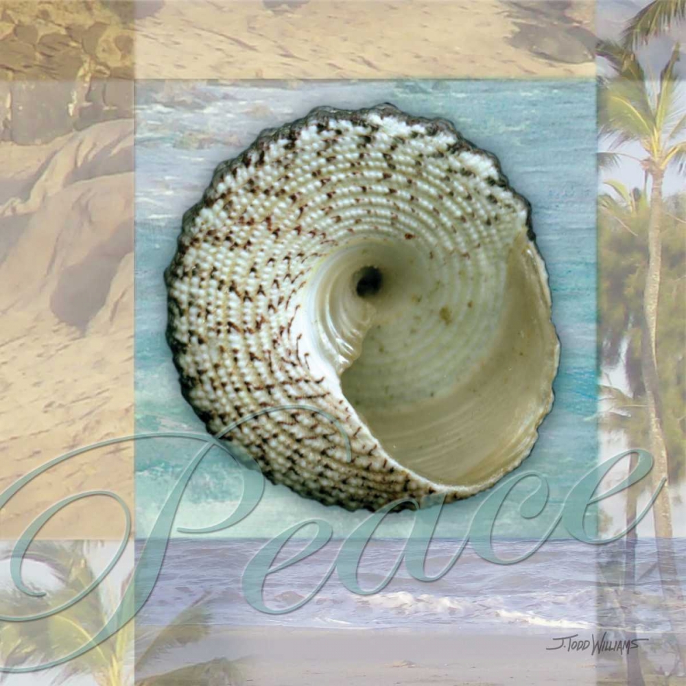 Art Print: Peace Shell