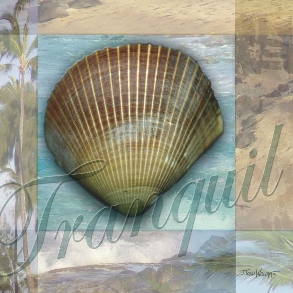 Art Print: Tranquil Shell