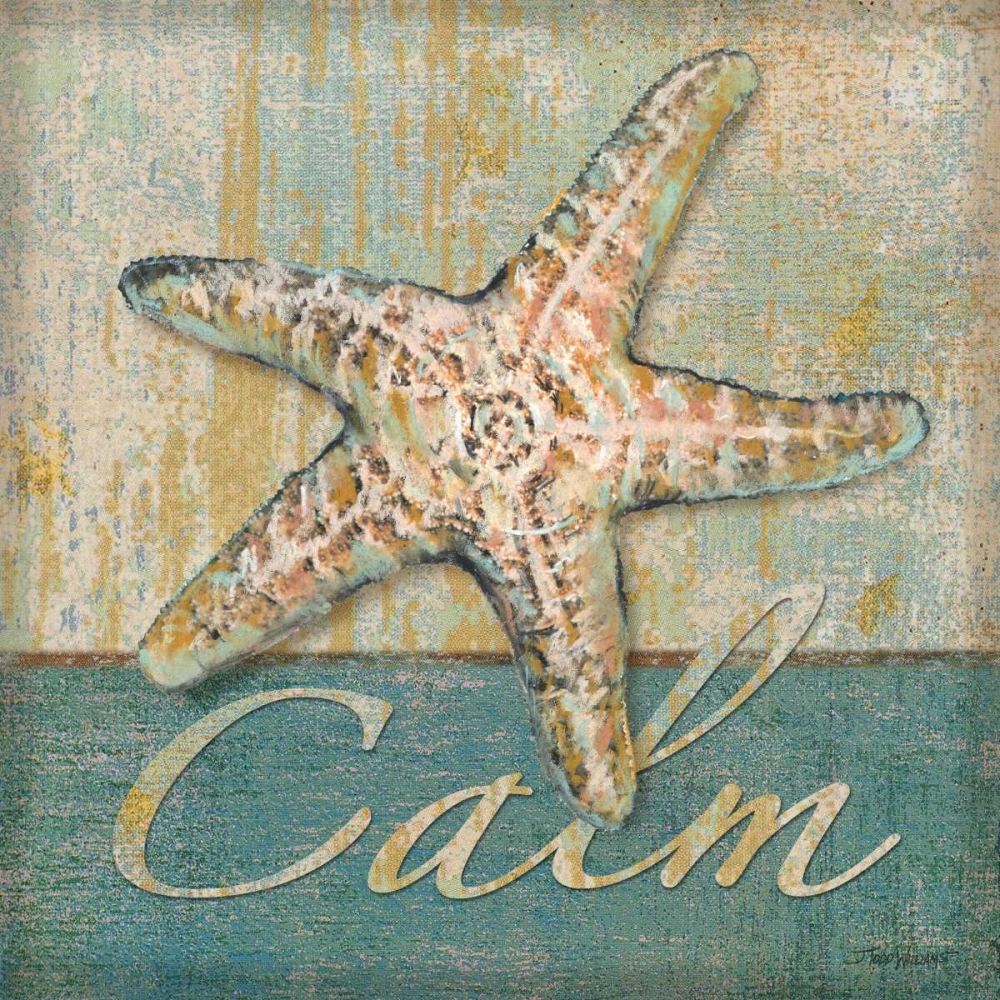 Wall art: Calm, by Williams, Todd