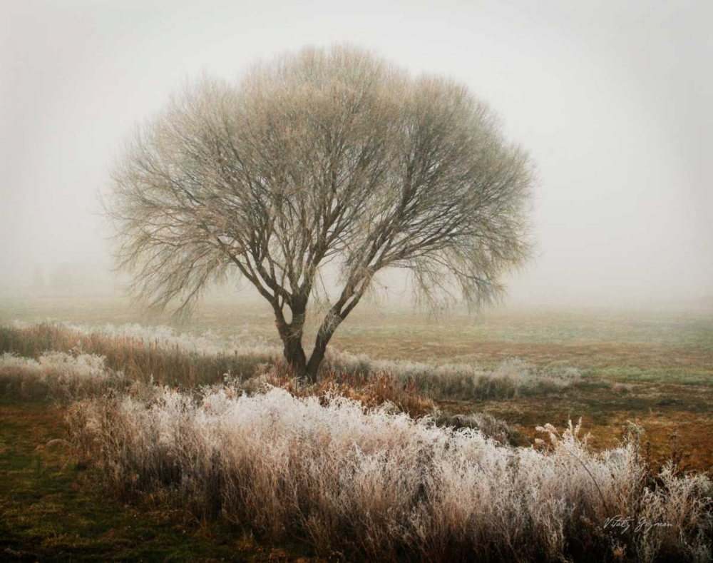 Art Print: Tranquility I