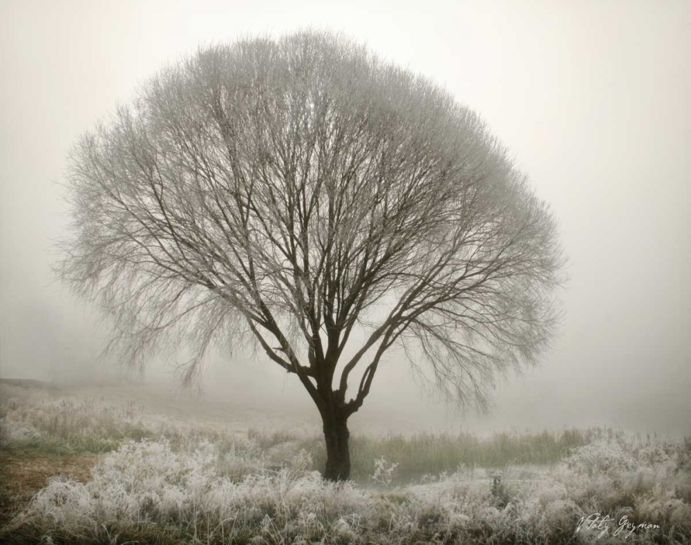 Art Print: Tranquility II