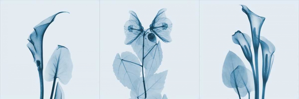 Wall Art Painting id:22078, Name: Lilies Triple in Blue, Artist: Koetsier, Albert