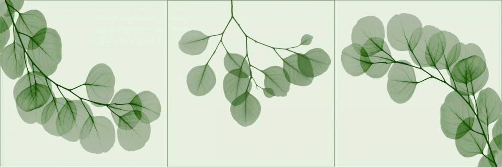 Wall Art Painting id:22079, Name: Leaf Triple in Green, Artist: Koetsier, Albert
