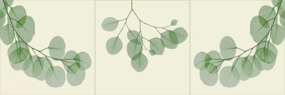 Wall art: Leaf Triple in Green 2, by Koetsier, Albert