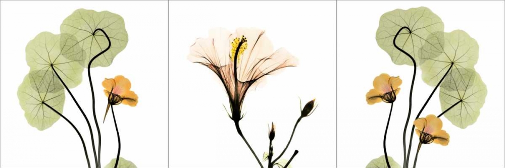 Wall Art Painting id:22083, Name: Triple in Color, Artist: Koetsier, Albert