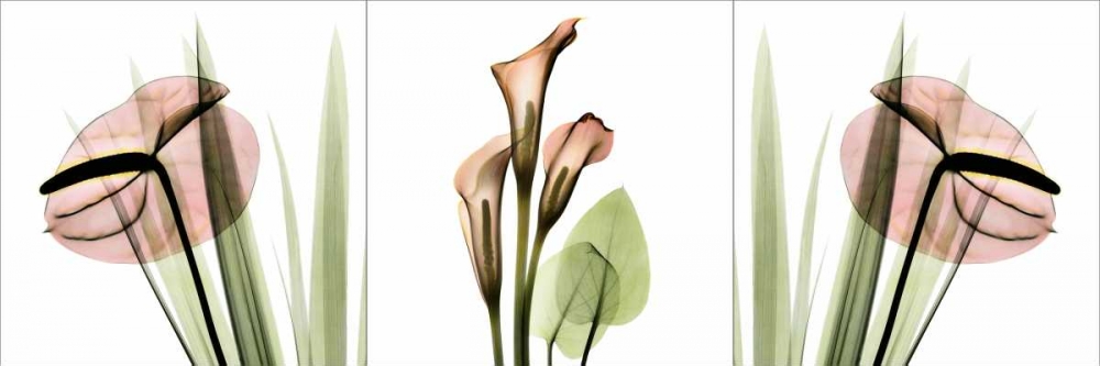 Wall art: Triple in Pink, by Koetsier, Albert