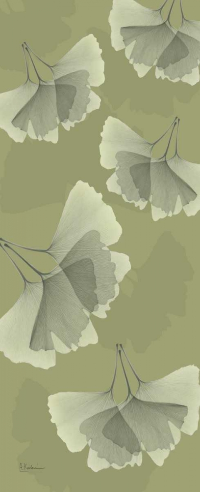 Wall art: Green on Green Ginko, by Koetsier, Albert