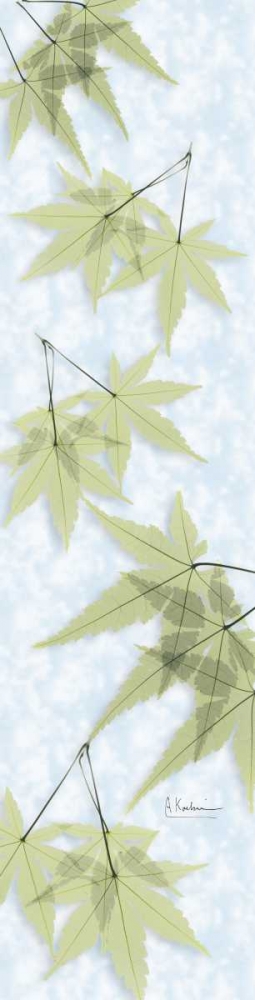 Wall art: Green on Green Maple, by Koetsier, Albert