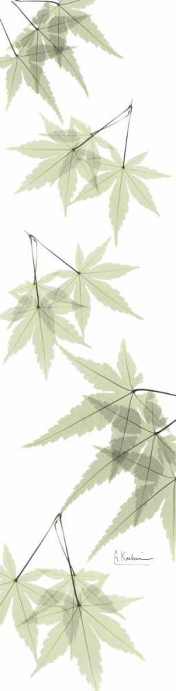 Wall art: Leaves in Green, by Koetsier, Albert