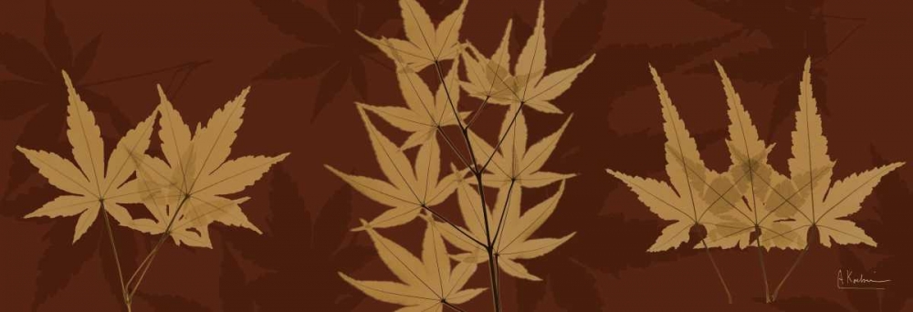 Wall art: Leaves Brown on Red 3, by Koetsier, Albert