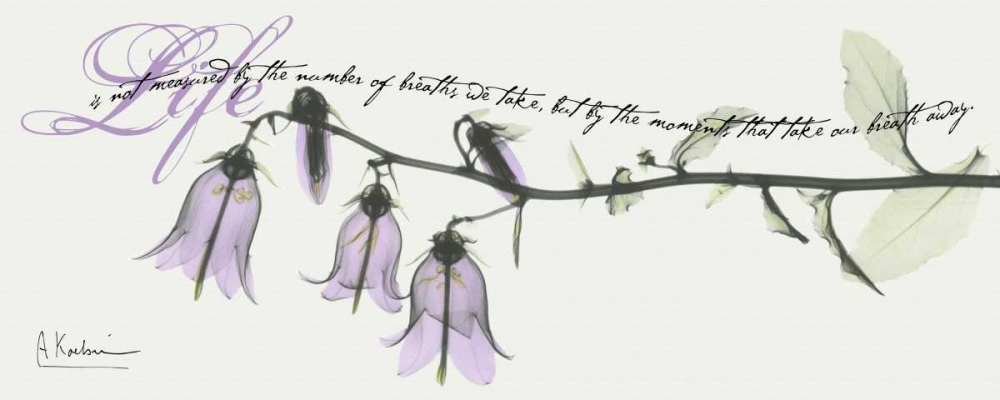 Wall art: Campanula Life, by Koetsier, Albert